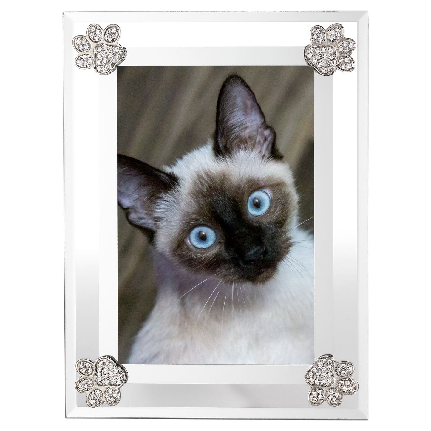 Paw Print Frame - OLIVIA RIEGEL®