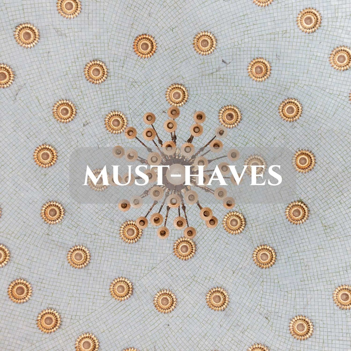 MUST-HAVES