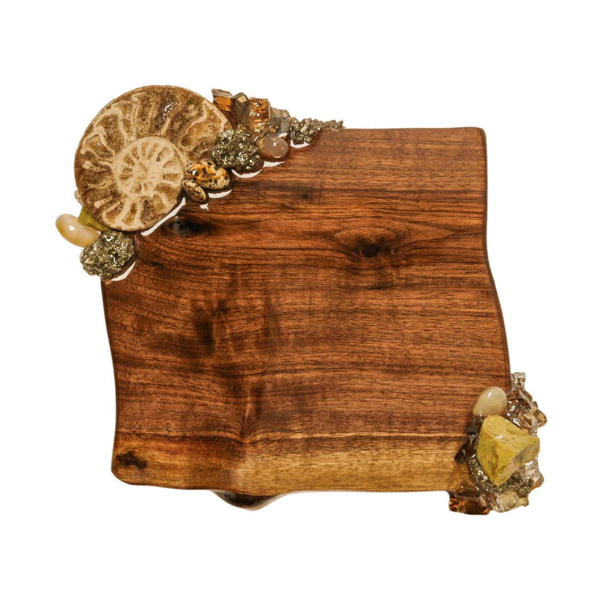 Square Treasures Cocktail Napkin Holder with earthtone minerals and fossils along 2 opposite corners