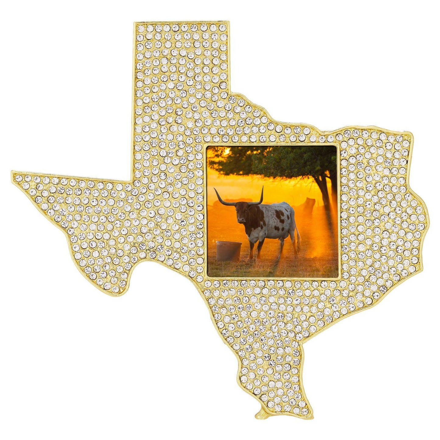 Crystal Texas Picture Frame - OLIVIA RIEGEL®