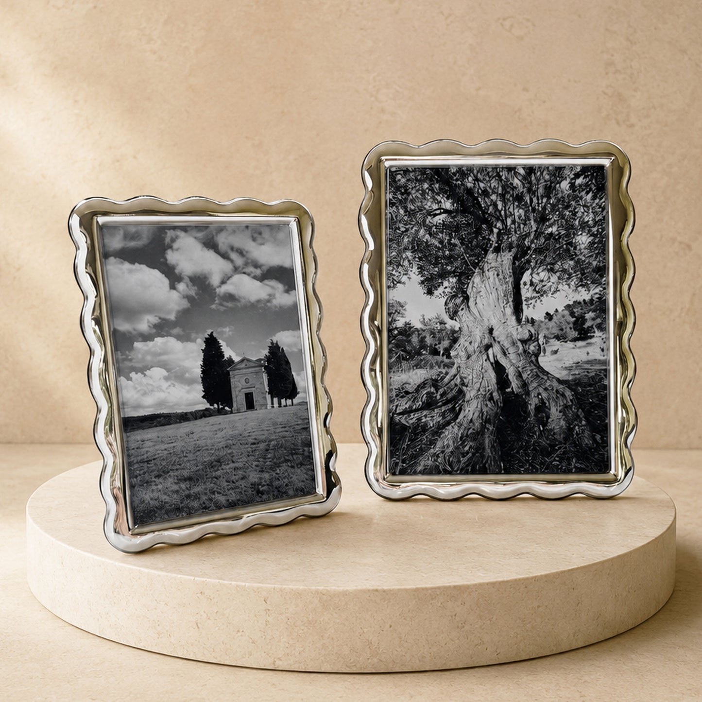 2 Sterling Ruffles frames in a studio shot with photos of nature.
