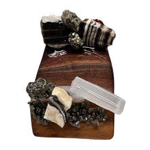 Treasures Holder - OLIVIA RIEGEL®
