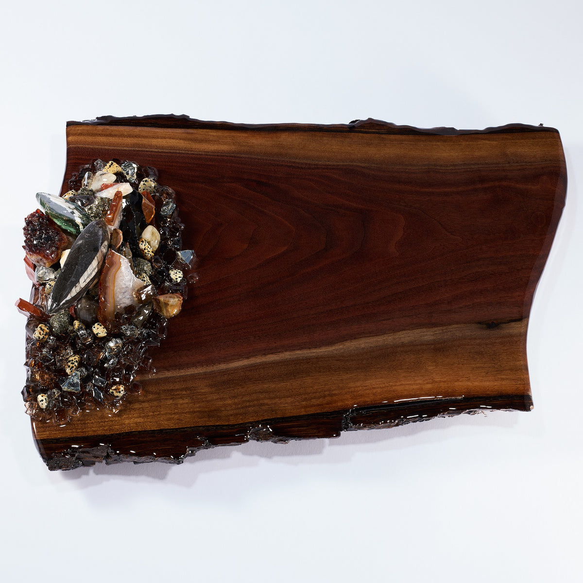 Medium Treasures Kodama Board with 1 cluster of earthtone minerals and fossils.