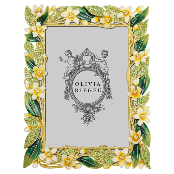 Hannah Frame - OLIVIA RIEGEL®