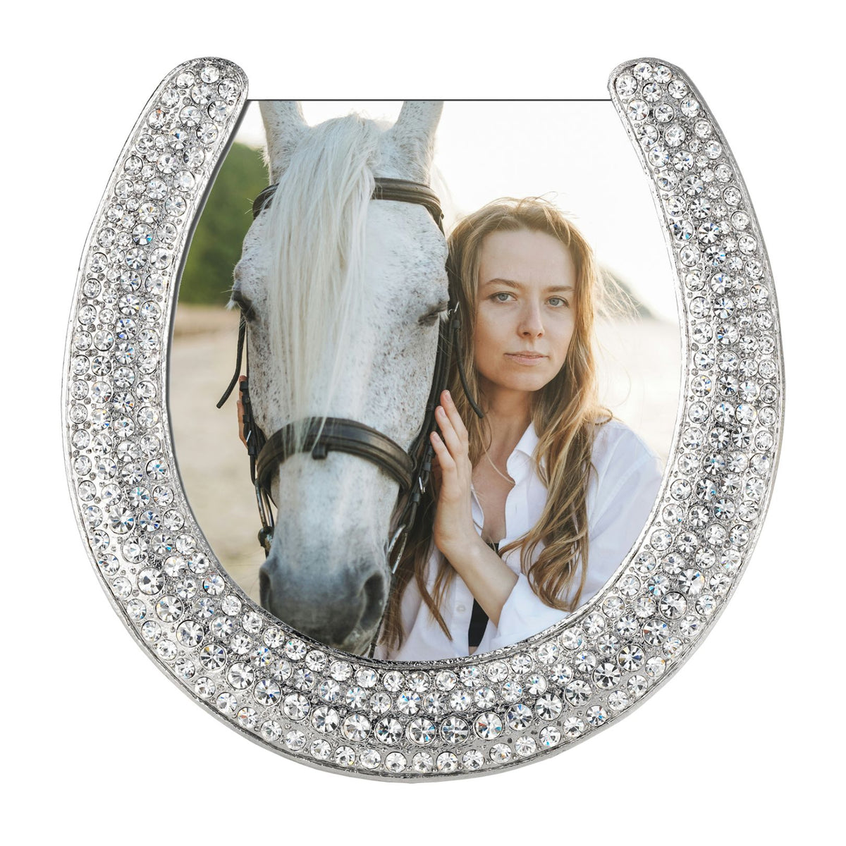 Silver Horseshoe 3.5" Frame