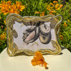 Serpentina 5" x 7" Frame - OLIVIA RIEGEL®