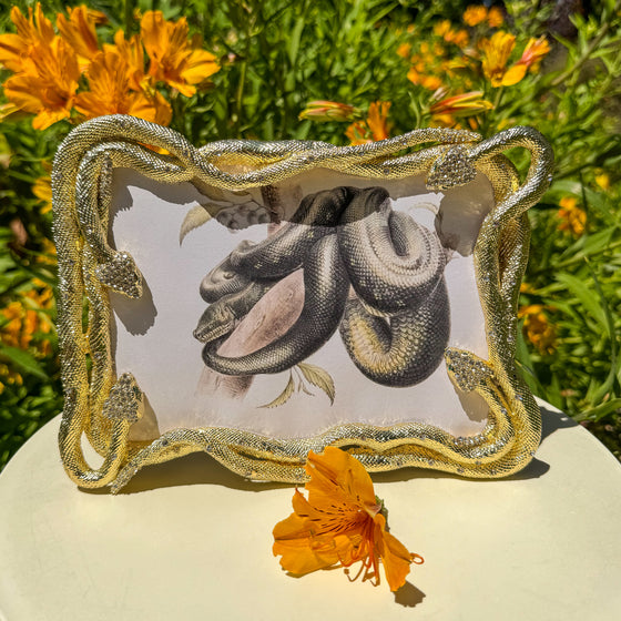 Serpentina 5" x 7" Frame - OLIVIA RIEGEL®