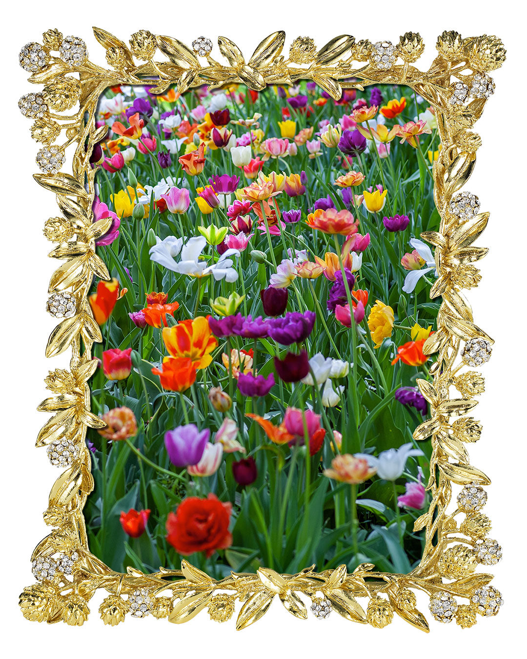 Cornelia Frame - OLIVIA RIEGEL®