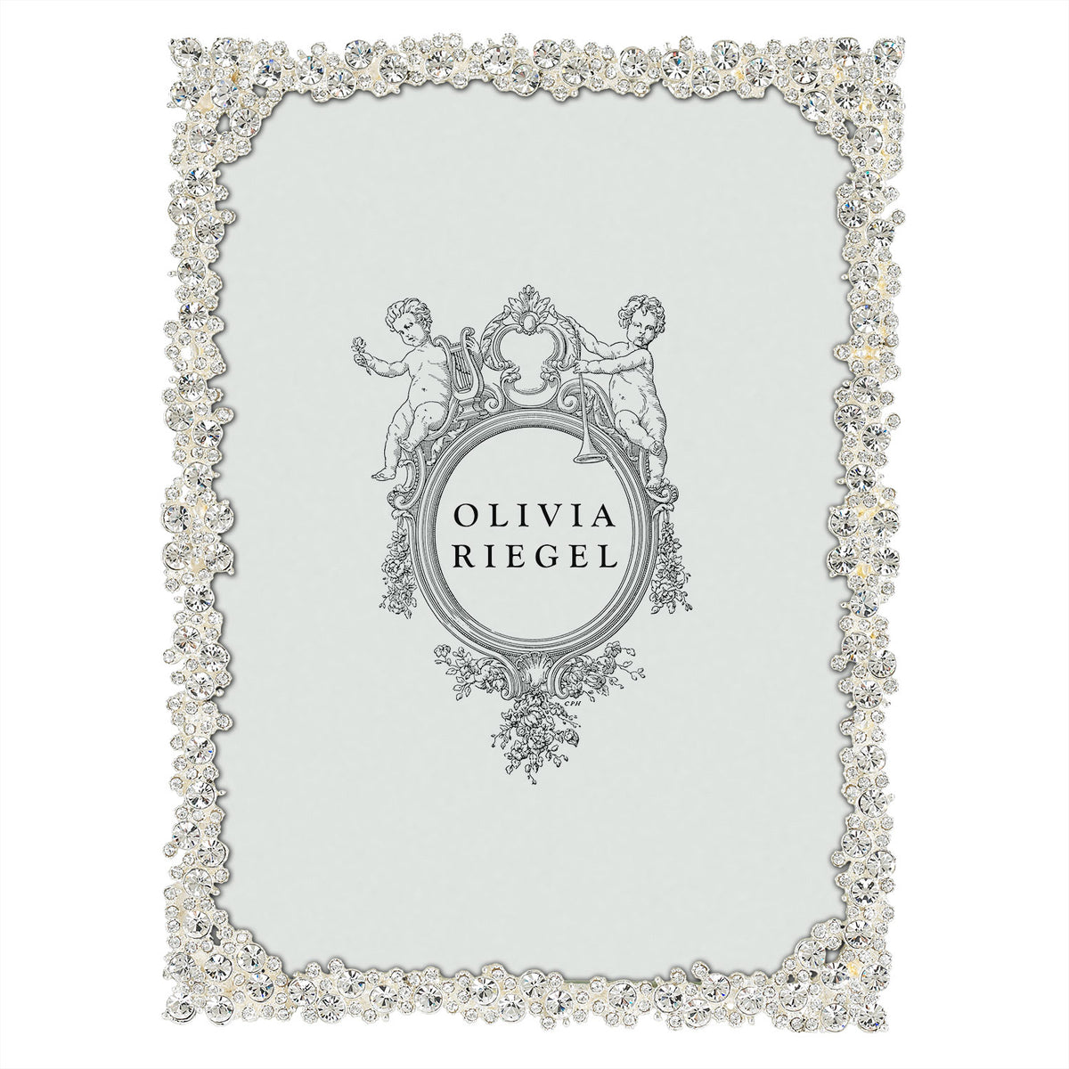 Silver Princess 5 by 7 Frame with many clusters of tiny clear stones .