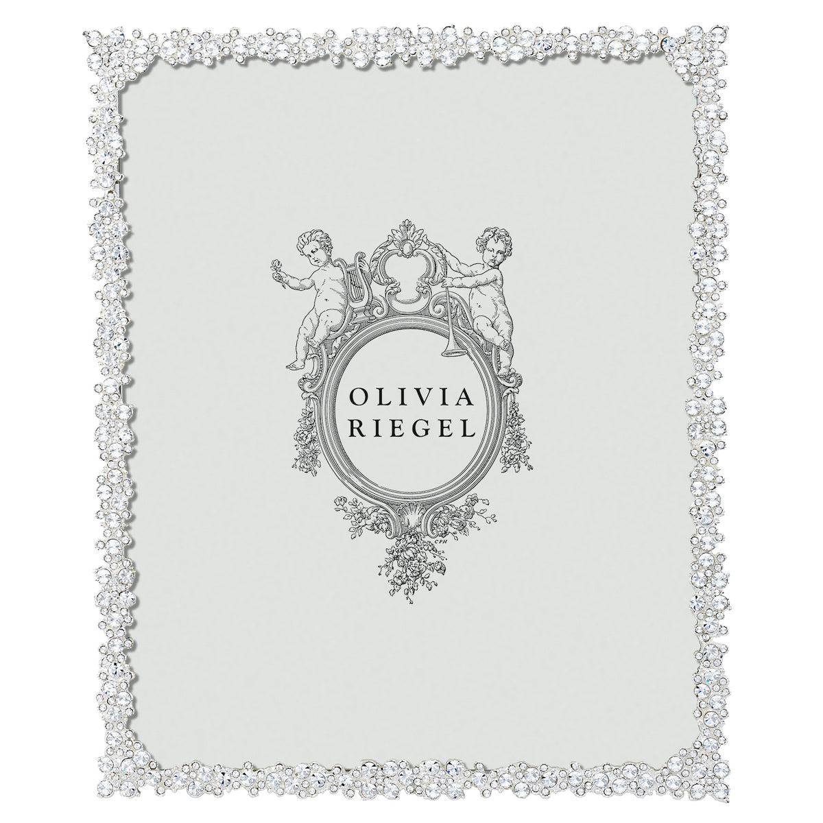 Silver Princess 8 by 10 Frame