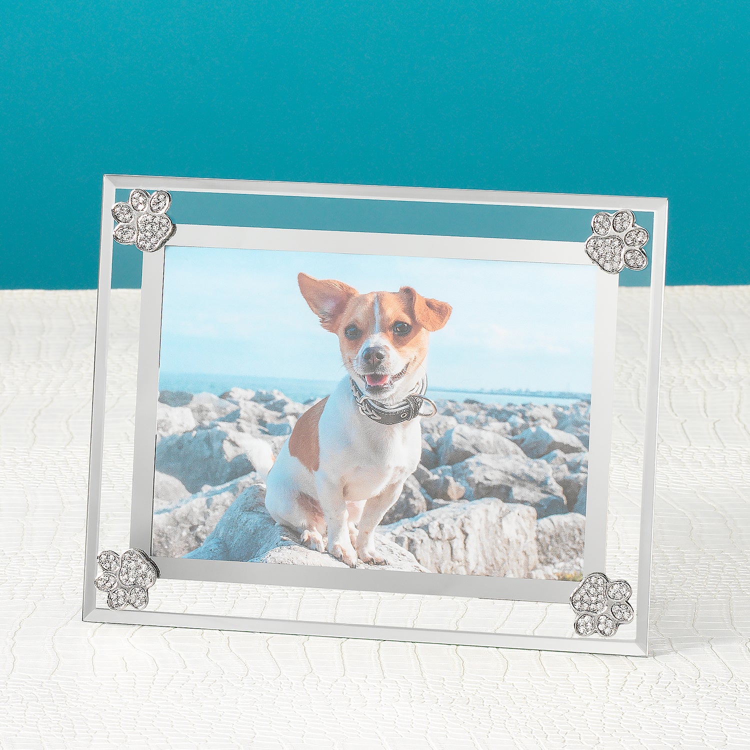 ARGENTONE Polybrom FB GL 11x14”(10枚入)印画紙 Amazon | ARGENTONE ポリウォーム Polywarm FB GL 11x14” (10枚