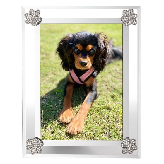 Paw Print Frame - OLIVIA RIEGEL®